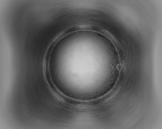 X0000115730725200911191411