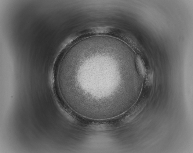 X0000115730726200911191411