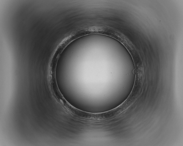 X0000115730727200911191411