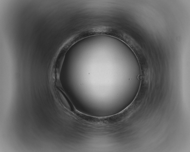 X0000115730731200911191411