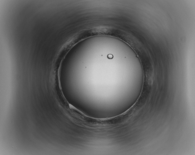 X0000115730735200911191411