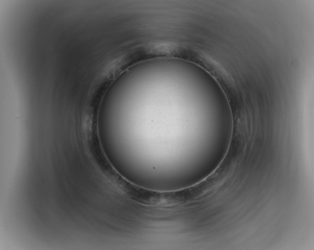 X0000115730739200911191412