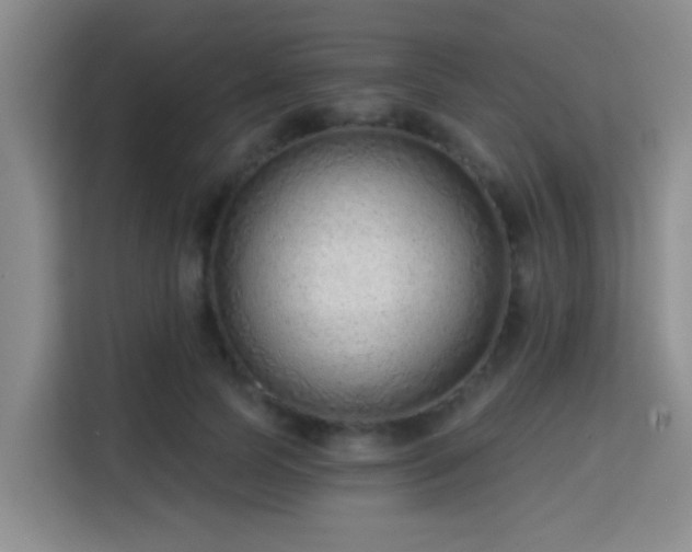 X0000115730745200911191412