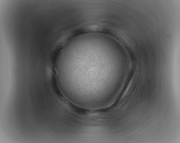 X0000115730746200911191412