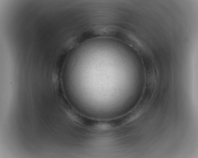 X0000115730749200911191412