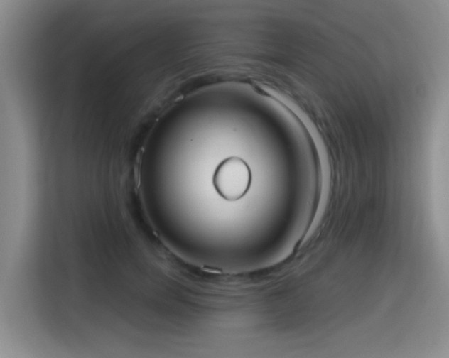 X0000115730750200911191412