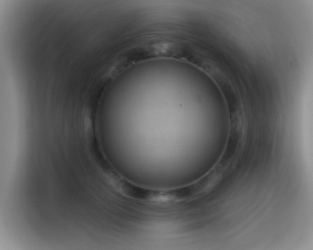 X0000115730754200911191412