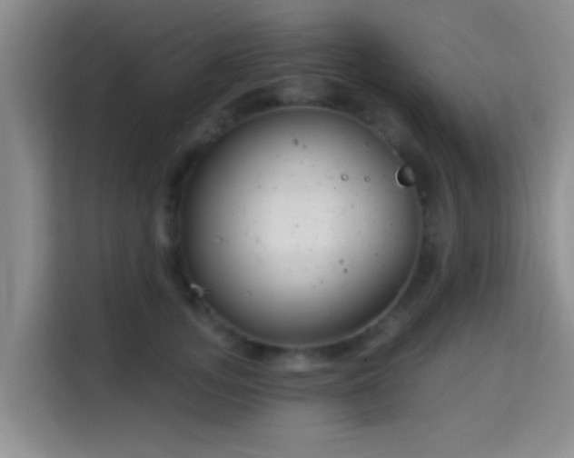 X0000115730755200911191412