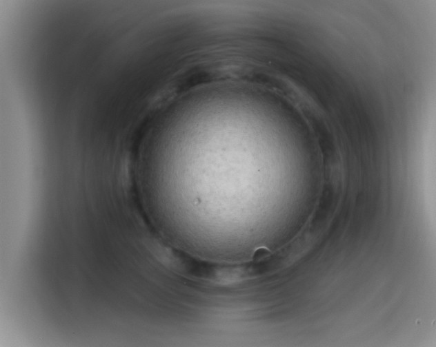 X0000115730757200911191412