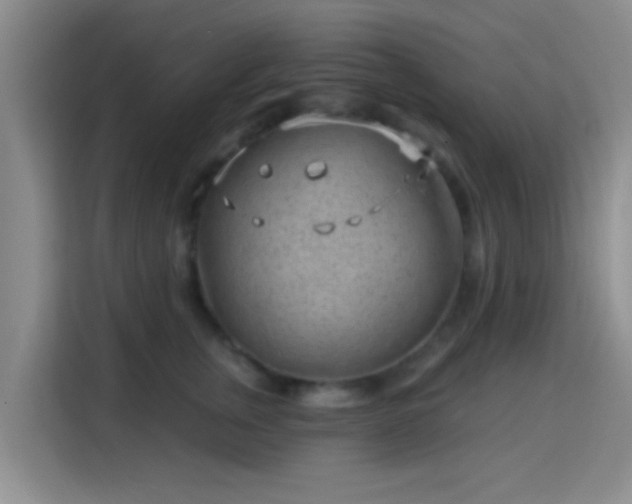 X0000115730759200911191412