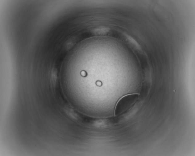 X0000115730761200911191412