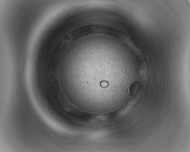 X0000115730765200911191412