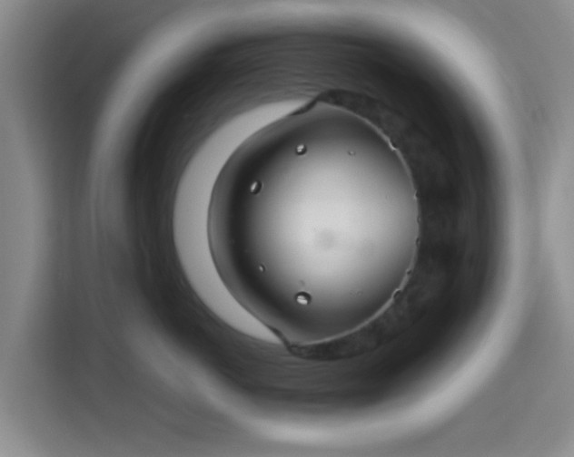 X0000115730766200911191412