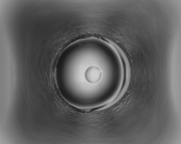 X0000115730769200911191411