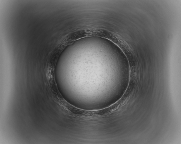 X0000115730770200911191411