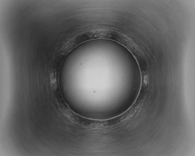 X0000115730771200911191411