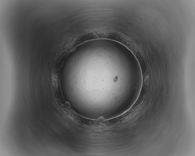 X0000115730772200911191411