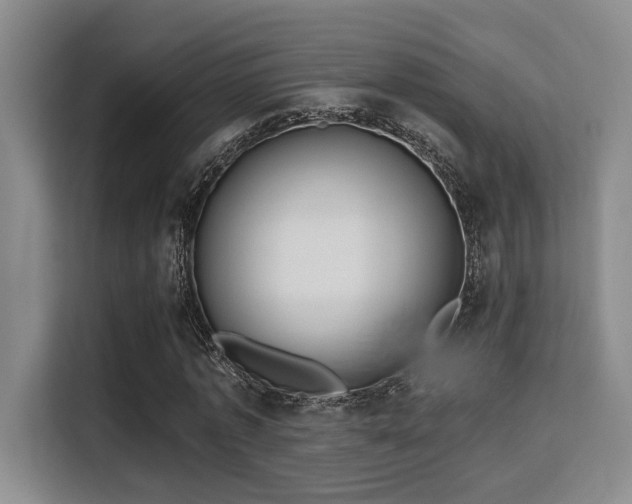 X0000115730773200911191411