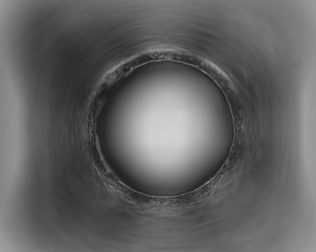 X0000115730775200911191411