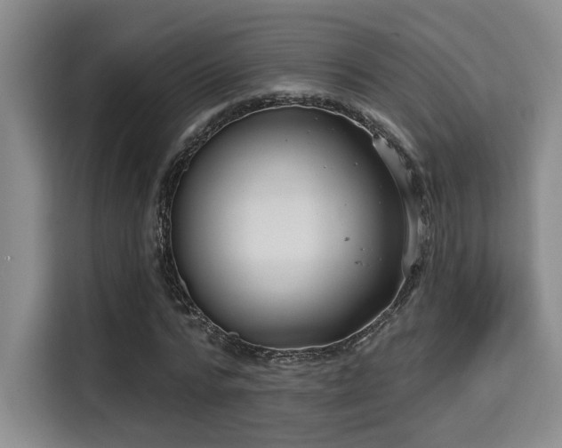 X0000115730776200911191411