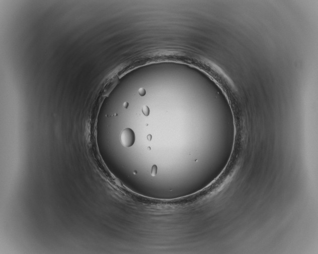 X0000115730777200911191411