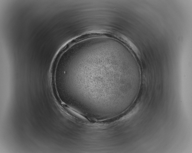 X0000115730779200911191411