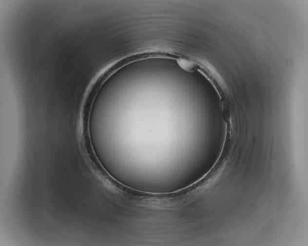 X0000115730780200911191411