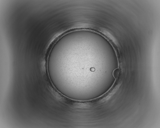 X0000115730781200911191411