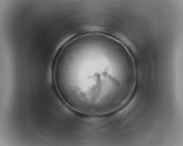 X0000115730782200911191411