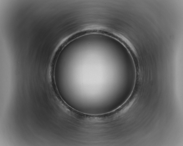 X0000115730783200911191411