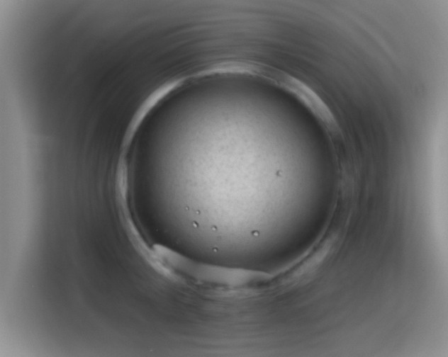 X0000115730804200911191411