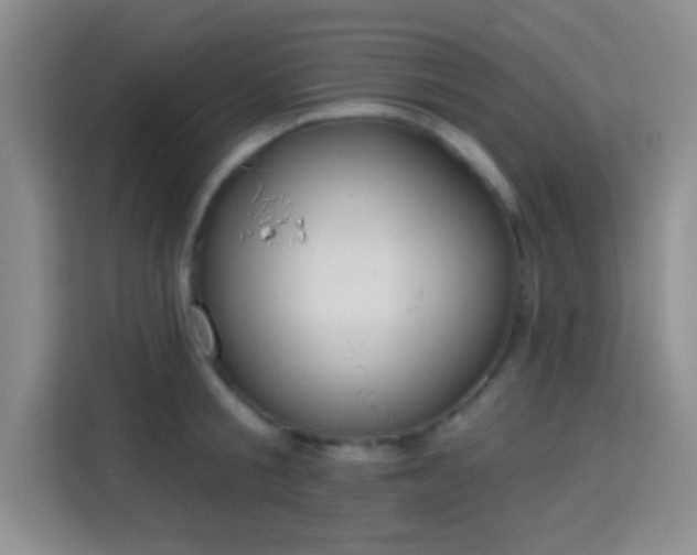 X0000115730805200911191411