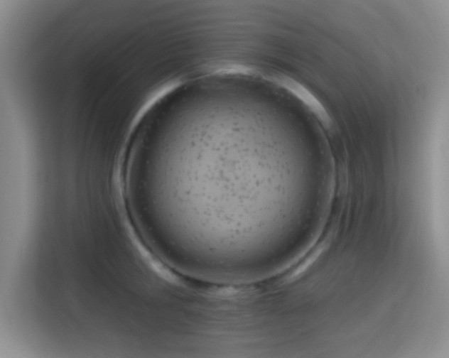 X0000115730806200911191411