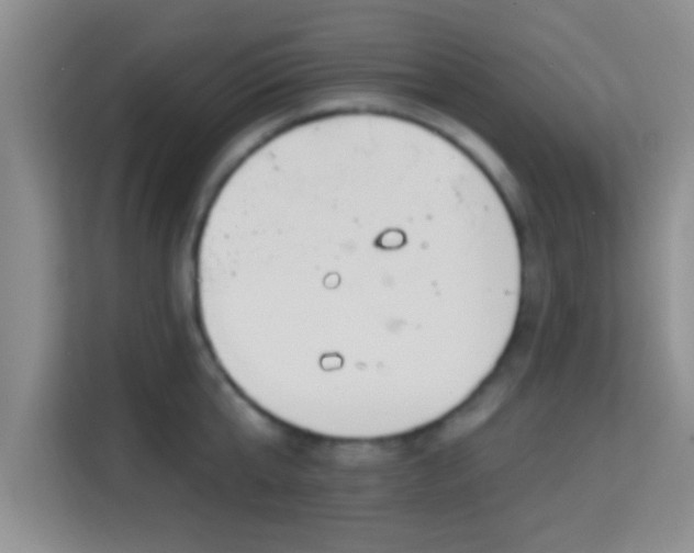 X0000115730807200911191411