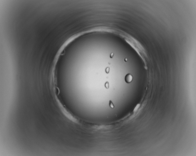 X0000115730808200911191411