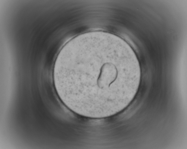 X0000115730810200911191411