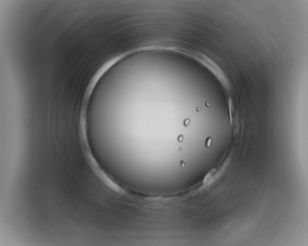 X0000115730812200911191411