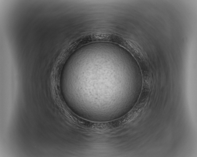 X0000115730817200911191410