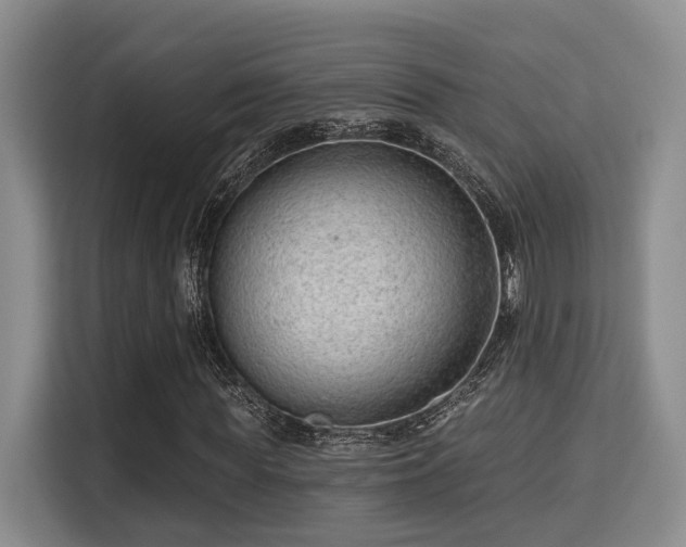 X0000115730819200911191410