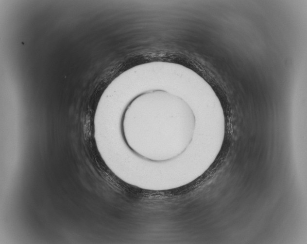 X0000115730820200911191410