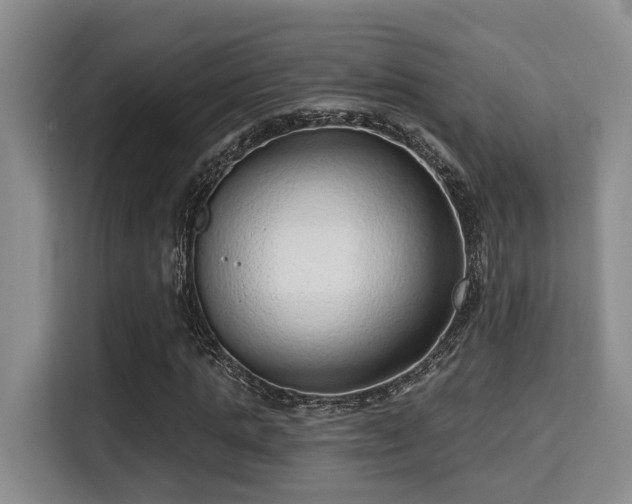 X0000115730821200911191410