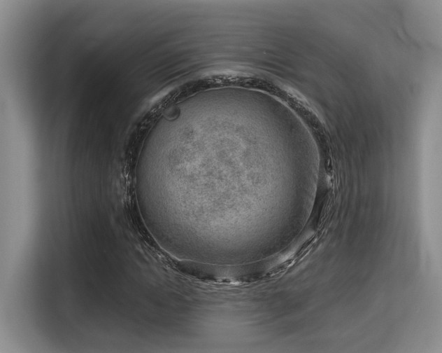 X0000115730822200911191410