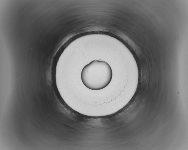 X0000115730828200911191410