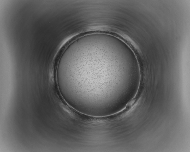 X0000115730830200911191410