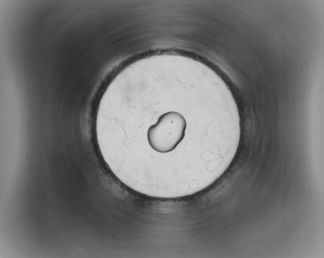 X0000115730832200911191410