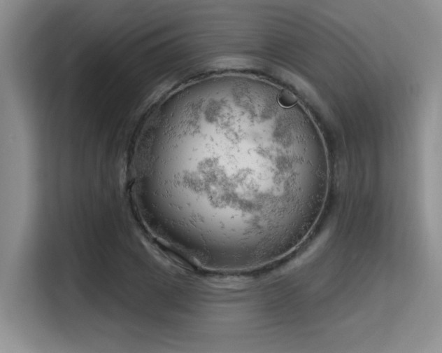 X0000115730833200911191410