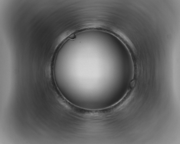 X0000115730834200911191410