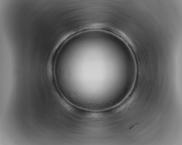 X0000115730835200911191410