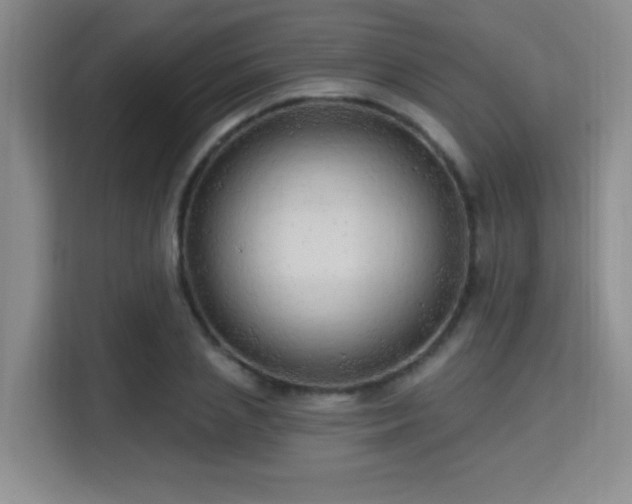 X0000115730837200911191410