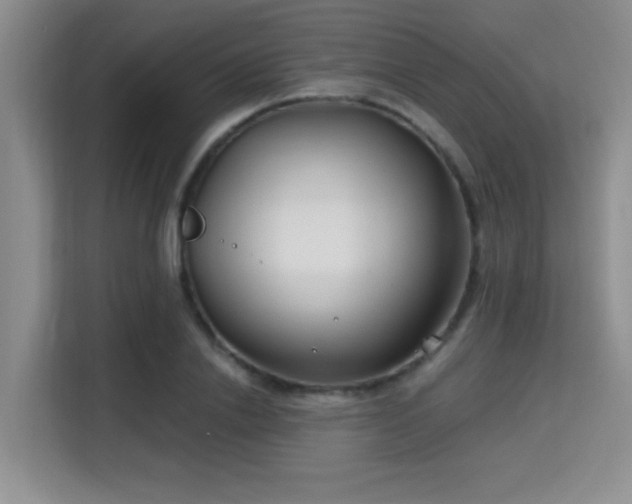 X0000115730838200911191410